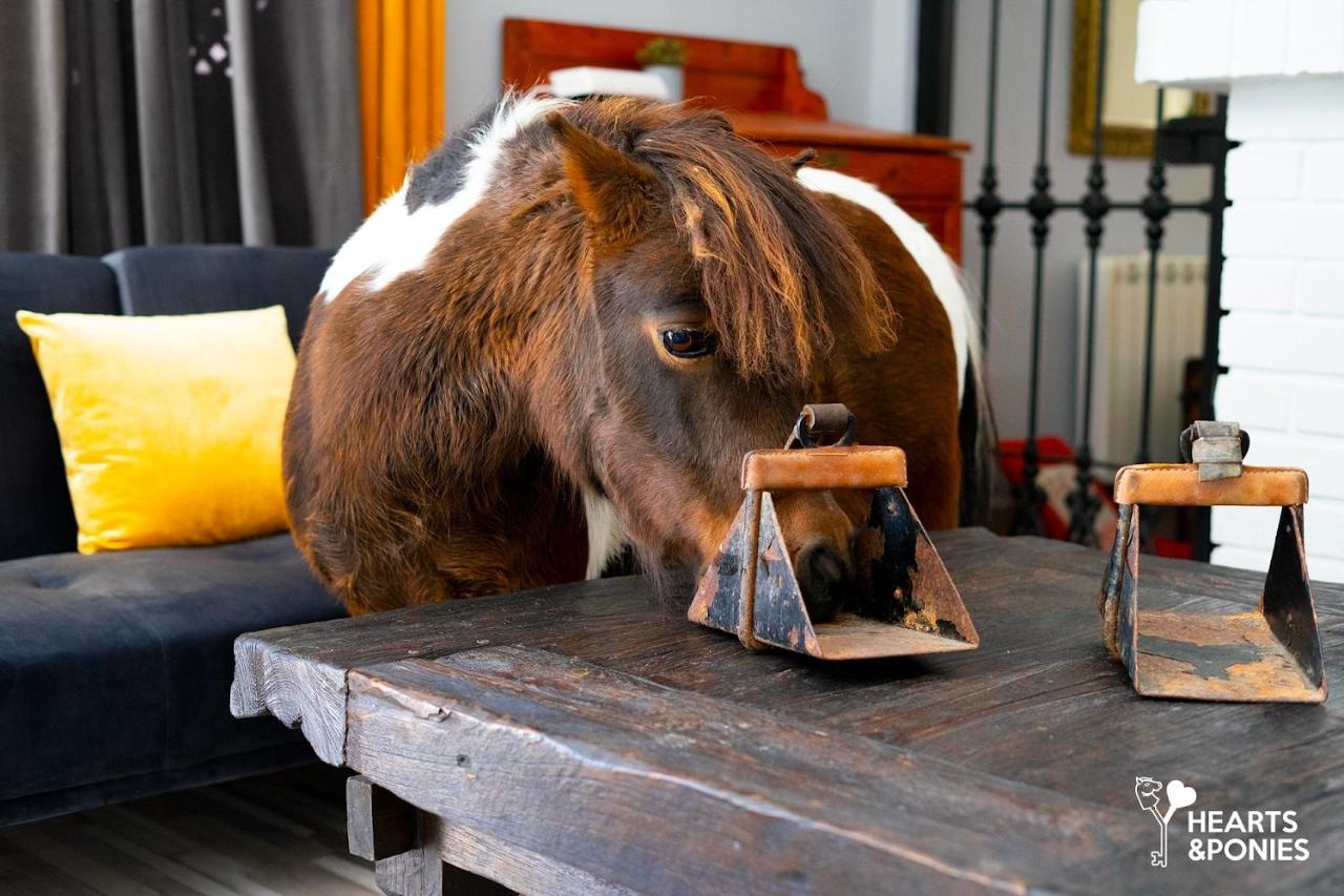 Hearts & Ponies Apartamentos Con Piscinas Privadas Cerca De La Warner 친촌 외부 사진